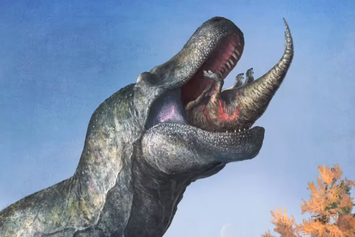 Trước đó, các nhà khoa học đã nghiên cứu và đưa ra nhiều giải thích cho việc tại sao T-Rex lại có cánh tay nhỏ như vậy. Một trong số đó là việc giữ thăng bằng của chúng.