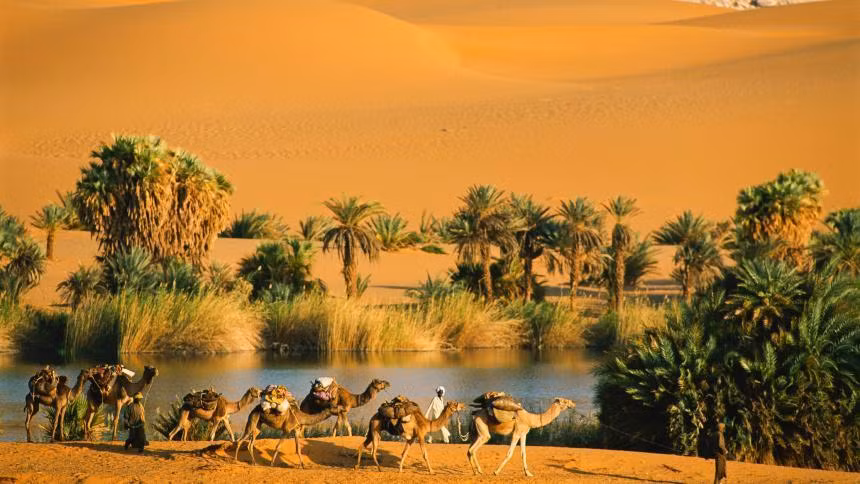 Đây cũng là thời kì khi nhiều loài động vật sống trong rừng Sahara như voi, xám hươu, linh dương, chó sói và gấu nâu... sống trong môi trường rừng phong phú. Đó chính là "thiên đường đã mất" ở sa mạc Sahara.