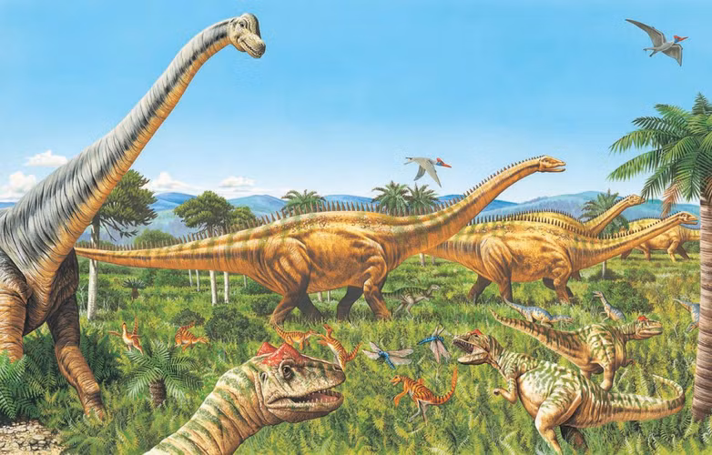 Tất cả mọi loài khủng long Sauropoda đều ăn thực vật. Một động vật chỉ ăn thực vật cần có bộ răng và hàm khác so với động vật ăn thịt. Nó cũng cần một hệ tiêu hóa lớn hơn nhiều để xử lý cây cỏ. Vì thế, Sauropoda trông rất khác so với khủng long chân thú (Theropoda).