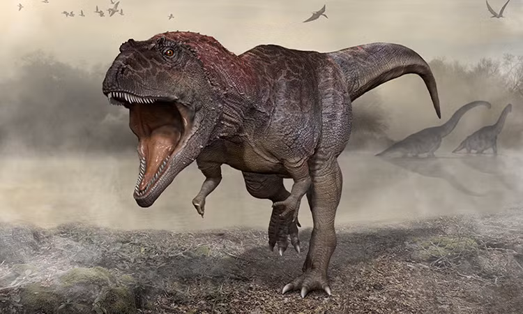 Trong suốt quá trình nghiên cứu về khủng long, chúng ta đã tìm hiểu và khám phá nhiều bí mật về loài sinh vật bạo chúa này.
