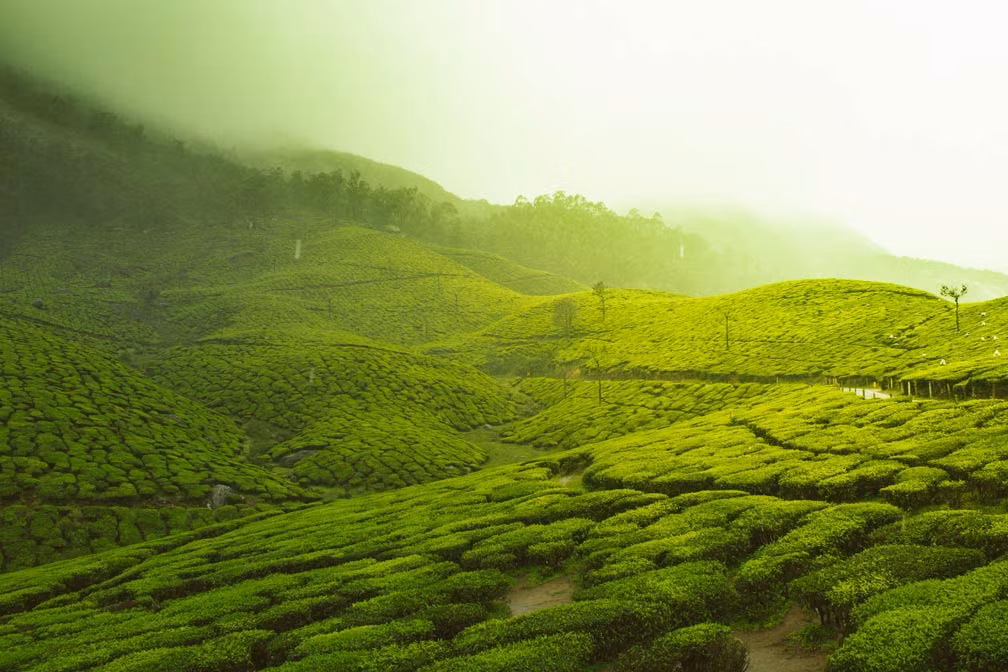 Tuy nhiên, Vương Quốc Travancore cũng đã trải qua nhiều thăng trầm và chịu ảnh hưởng của các thế lực bên ngoài. Năm 1947, khi Ấn Độ giành độc lập, Vương Quốc Travancore cũng đã phải đối mặt với cuộc khủng hoảng chính trị và kinh tế.