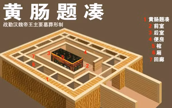 Cây gỗ hoàng đàn được sử dụng không phải thứ gỗ thông thường, đây là loài cây cực kỳ quý hiếm tại Trung Quốc, gỗ cây nổi tiếng bền bỉ có thể tồn tại hàng thiên niên kỷ mà không bị hư hại gì. Lõi gỗ hoàng đàn có nhiều dầu, giúp chống mối và ngăn gỗ biến dạng cong vênh.