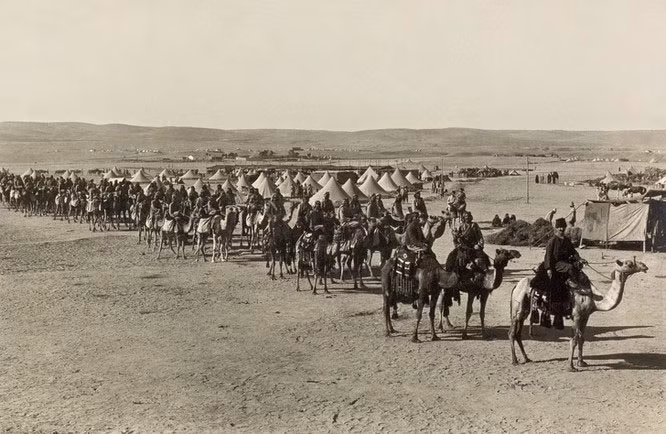 Ibn Abbad đã đóng góp rất lớn cho sự phát triển của nền văn hóa Ba Tư. Ông ủng hộ sự phát triển của thơ và là người có kiến thức sâu rộng về các chủ đề khác nhau. Khi Hoàng đế Samanid mời Ibn Abbad làm tể tướng, ông trả lời rằng ông không thể đồng ý vì thư viện của mình. Sau đó Samanid đã đưa 400 con lạc đà đến để mang theo tất cả các cuốn sách của Ibn Abbad - trong đó có 60 con chở từ điển, việc làm này đã trở thành một sự kiện nổi tiếng vào thời điểm đó.