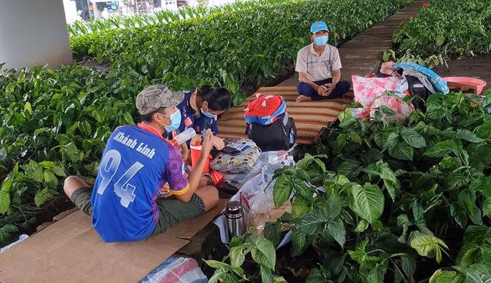 2 gia dinh di bo ve que nhung khong duoc, phai ta tuc o gam cau-Hinh-3