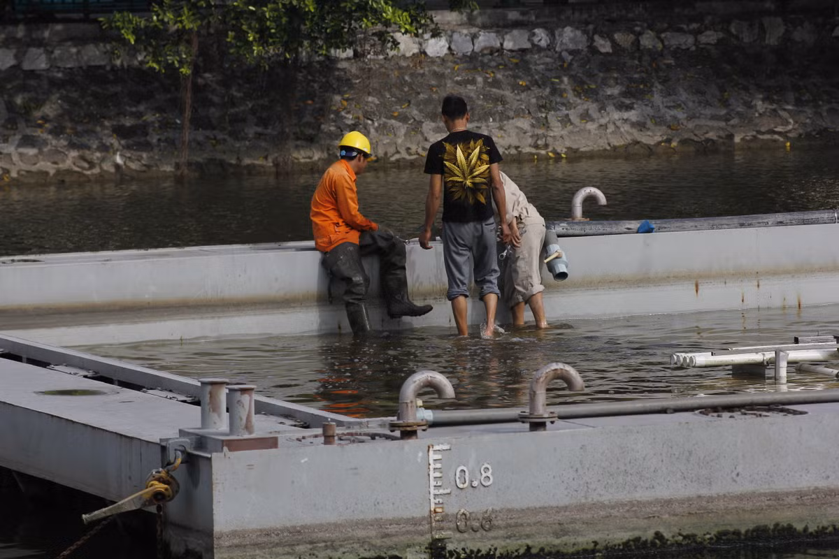 Tuy nhiên, sau thời gian vận hành, công trình đã bộc lộ nhiều bất cập như đặt ở vị trí không phù hợp, không đảm bảo mỹ quan đô thị, hiệu quả khai thác thấp, chưa thu hút được đông đảo nhân dân và du khách, lượng người xem ngày càng giảm, hoạt động của công trình ảnh hưởng không tốt đến môi trường sống của khu vực lân cận gây bức xúc trong nhân dân.