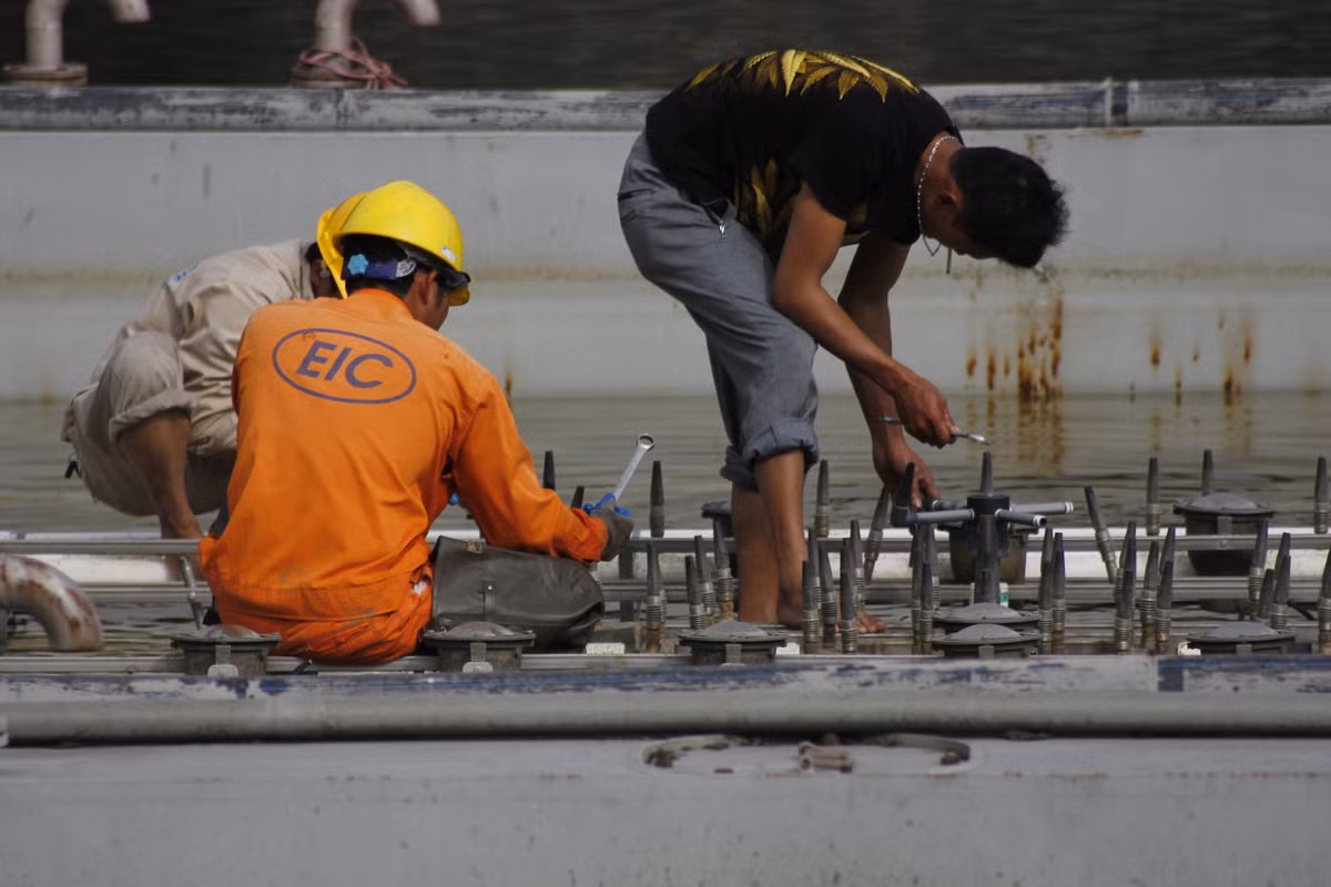 Một số lãnh đạo UBND Thành phố ở thời kỳ thực hiện dự án nhạc nước 200 tỷ có sai phạm, khuyết điểm đã được các cơ quan có thẩm quyền xử lý bằng hình thức kỷ luật.