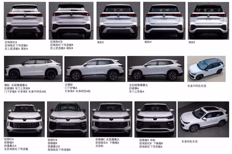 Đánh giá từ các dòng xe VW còn lại ở Châu Âu, các tùy chọn cho Tayron có thể bao gồm hệ thống truyền động mild hybrid và PHEV, động cơ xăng và dầu truyền thống. Phiên bản cao cấp của mẫu SUV này có thể sử dụng chung hệ truyền động PHEV với động cơ xăng 1.5L, cho công suất lên tới 268 mã lực.
