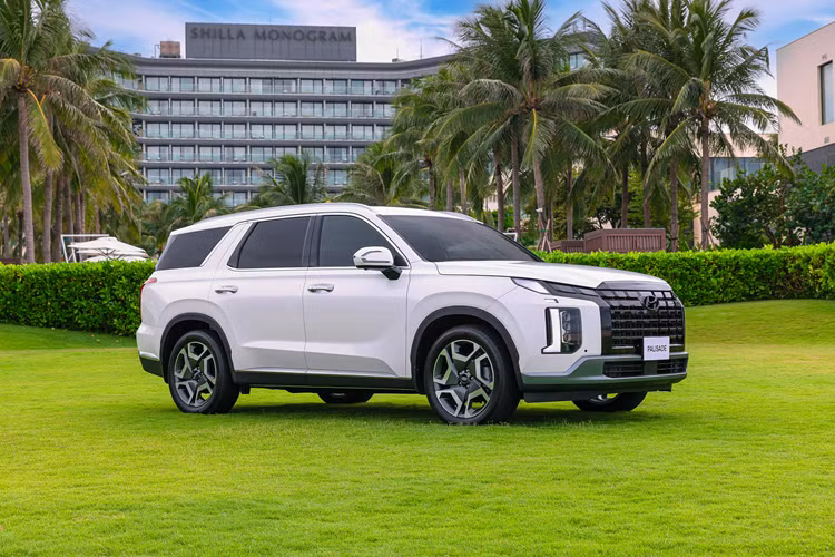 Palisade tiếp tục sử dụng hệ thống dẫn động 4 bánh thông minh HTRAC có thể điều chỉnh biến thiên tỉ số phân bổ lực kéo trên các bánh. Đồng thời, HTRAC trên Palisade được bổ sung 3 chế độ địa hình Terrain Mode: Snow (Tuyết), Sand (Cát), Mud (Bùn đất).