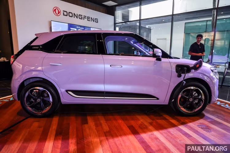 Xe Dongfeng tại Việt Nam sẽ được phân phối thông qua Carvivu - công ty chuyên nhập khẩu ô tô Trung Quốc. Đây cũng là nhà phân phối chính hãng của xe Haima ở Việt Nam.