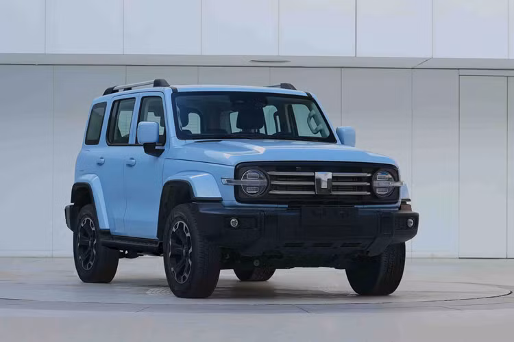 Mẫu xe SUV Tank 300 có 2 tùy chọn cho công suất động cơ, đầu tiên là E20CB sẽ sản sinh ra công suất tối đa 162 kW (217 mã lực) và mô-men xoắn cực đại 380 Nm, kết hợp với hộp số 8AT; mức tiêu thụ nhiên liệu toàn diện WLTC 9,9 lít/100km.