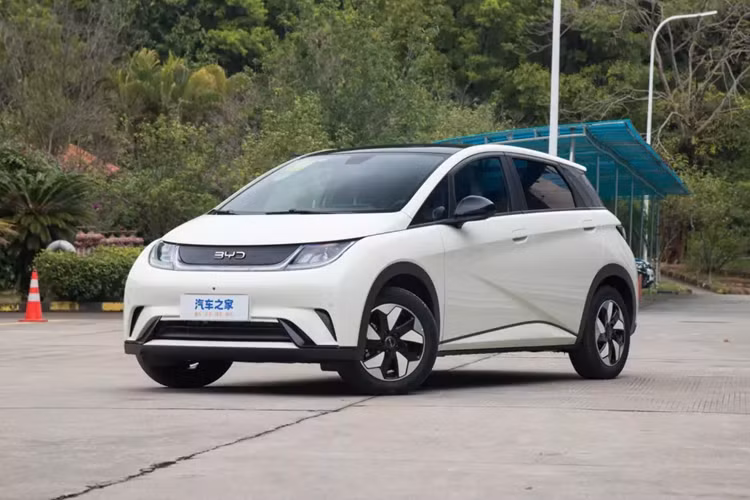 BYD Dolphin được định vị là mẫu xe cỡ nhỏ chạy điện thuần túy, mẫu xe 2024 không có nhiều điều chỉnh về ngoại hình, vẫn giữ nguyên thiết kế của mẫu 2023. Mặt trước áp dụng ý tưởng thiết kế "thẩm mỹ biển" quen thuộc, tạo cảm giác tròn trịa và sống động. hiệu ứng thị giác.
