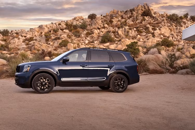 Hiện chưa có thông tin cụ thể về thời điểm Kia Telluride mở bán tại Việt Nam. Hồi cuối năm 2021, Thaco từng trưng bày Telluride tại nhà máy ở tỉnh Quảng Nam, đồng thời thông báo sẽ bán ra vào cuối năm 2022. Tuy nhiên, kế hoạch ra mắt xe sau đó đã bị hủy bỏ.
