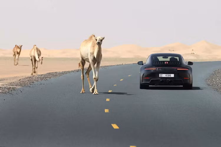 Porsche 911 đời mới 2025 sẽ được ra mắt trực tuyến trên kênh YouTube của Porsche, phát sóng vào lúc 13:00 UTC (tương đương 20:00 giờ Việt Nam) ngày 28/5/2024.