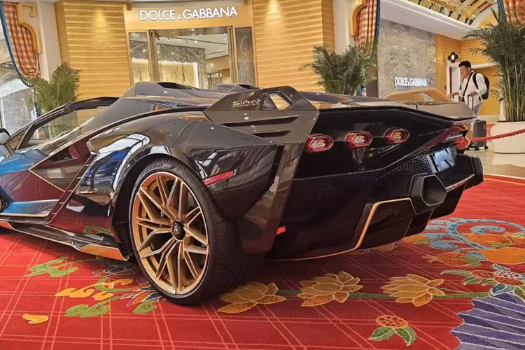 Lamborghini Sian Roadster vẫn sở hữu khối động cơ xăng V12, hút khí tự nhiên, dung tích 6.5 lít quen thuộc lấy từ Lamborghini Aventador. Tuy nhiên, động cơ này lại được bổ sung van nạp mới, làm bằng titan, và tạo ra công suất tối đa 774 mã lực.