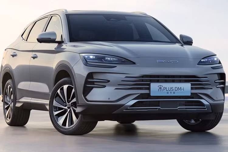 Công ty đã ra mắt mẫu xe hybrid cắm điện tại Úc, New Zealand và Philippines trong năm nay, và nhiều khả năng sẽ giới thiệu tại Việt Nam vào năm sau, hoặc cuối năm nay. Các mẫu xe cắm điện và chạy hoàn toàn bằng điện của BYD Song Plus đã bán được tổng cộng 224.656 xe trong nửa đầu năm 2024.