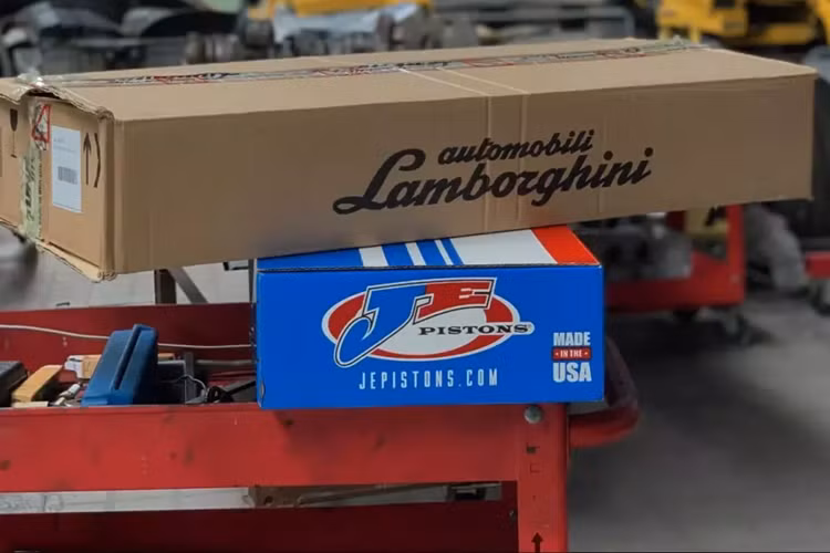 Ngoài các bản tiêu chuẩn, các đại gia Việt cũng sở hữu cho riêng mình vài xe khác như Lamborghini Gallardo mui trần bản nâng cấp, Lamborghini Gallardo SE chỉ có 250 chiếc trên thế giới và cả Lamborghini Gallardo LP570-4 Superleggera Coupe cũng như bản mui trần.