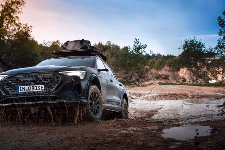 Audi cho biết họ dự định sản xuất chỉ 1.000 chiếc Q8 e-tron Dakar và trong đó chỉ 99 chiếc được dán decal. Ngoài ra, khách hàng còn có thể chọn xe với màu sơn be ánh kim Siam Beige hoặc xám Magnetic Gray.