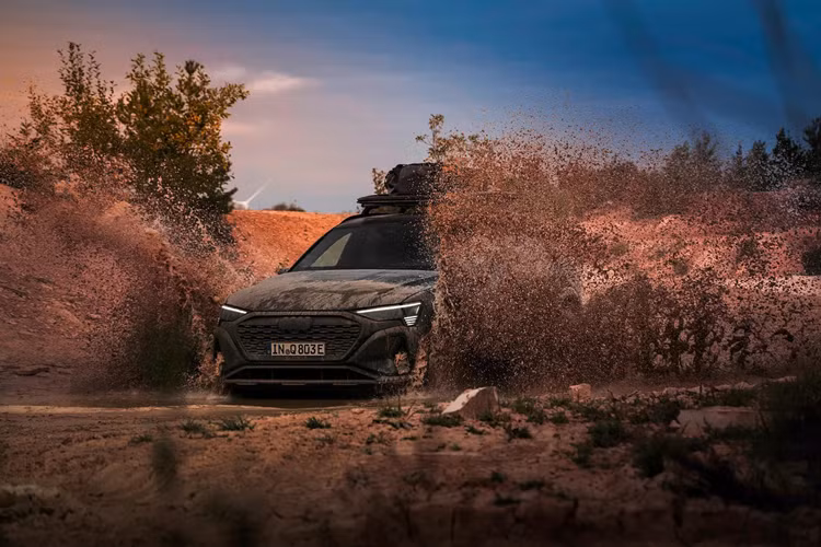 Xe được bán ra tại thị trường châu Âu, mức giá xe Audi Q8 e-tron edition Dakar 2024 khởi điểm từ 120.000 euro (3,2 tỷ đồng), nếu chọn dán thêm decal trang trí ngoại thất thì giá xe sẽ tăng thêm 10.000 euro (267 triệu đồng) nữa.