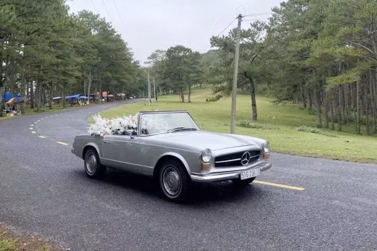 Số lượng các mẫu xe cổ tại Việt Nam khá đa dạng, riêng dòng xe Mercedes-Benz SL trứ danh có 190SL, 250SL, 280SL, 560SL và còn nhiều hàng độc lạ còn bí ẩn, trong số những cái tên này Mercedes-Benz 250SL độc nhất vô nhị chỉ có duy nhất 1 chiếc xuất hiện tại Việt Nam.