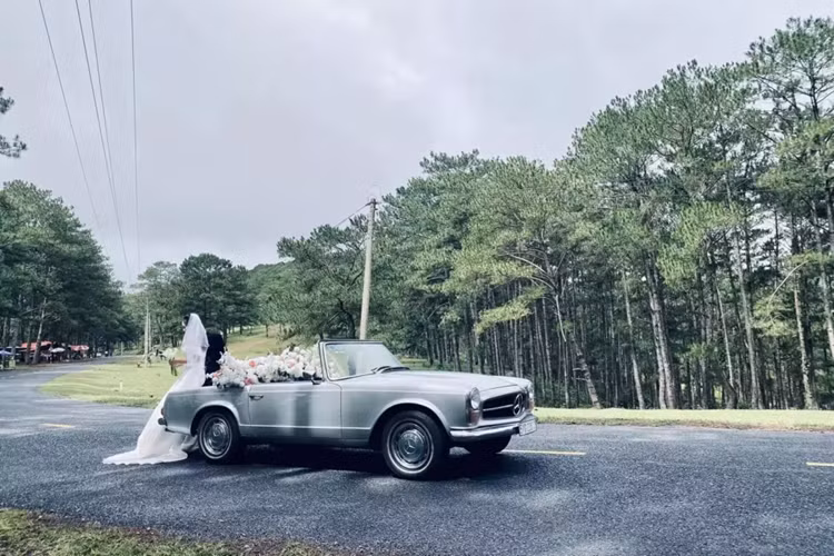 Chiếc Mercedes-Benz 250SL siêu hiếm này chính là bản tiền nhiệm của dòng xe Mercedes-Benz 190SL rất nổi tiếng, xe được giới thiệu tại triển lãm ô tô Geneva năm 1967, để tiếp nối thành công của 230SL để lại, nhưng công việc sản xuất đã bắt đầu vào tháng 12 năm 1966 và kết thúc vào tháng 1/1968.