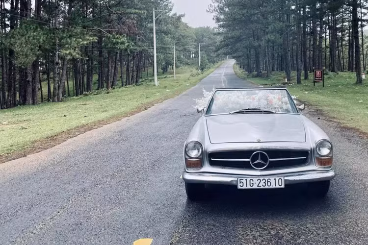 Mới đây, chiếc xe thể thao Mercedes-Benz 250SL này đã được mang lên thành phố Đà Lạt, tỉnh Lâm Đồng để chụp ảnh. Sự có mặt của hàng hiếm này, đã nhanh chóng thu hút sự quan tâm của khách tham quan, cũng như các dân mê xe cổ tại xứ sở ngàn hoa.