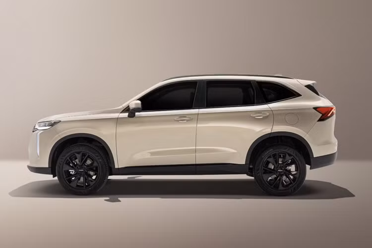 Tại thị trường Trung Quốc, Haval H6 mới có 2 tùy chọn động cơ với công suất lớn hơn trước. Đầu tiên là động cơ xăng 4 xi-lanh, tăng áp, dung tích 1.5L, tạo ra công suất tối đa 135 kW (khoảng 183 mã lực) và mô-men xoắn cực đại 275 Nm.