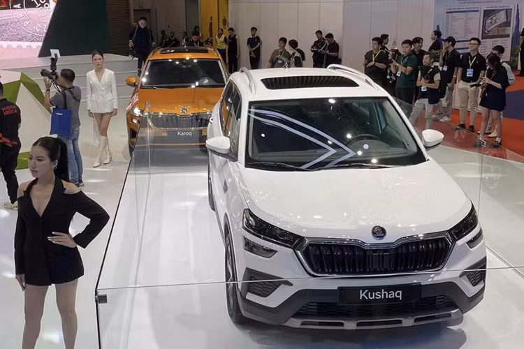 Tại các thị trường quốc tế, Skoda Kushaq được hãng cung cấp 2 loại động cơ xăng. Thứ nhất là máy 1.0L 3 xy-lanh 115 mã lực/178 Nm đi kèm hộp số sàn 6 cấp hoặc tự động 6 cấp. Thứ hai là loại 1.5L 4 xy-lanh 150 mã lực/250 Nm kết hợp cùng hộp số sàn 6 cấp hoặc ly hợp kép 7 cấp. Hiện chưa rõ loại động cơ nào sẽ được trang bị cho Kushaq khi xe bán ra ở Việt Nam.