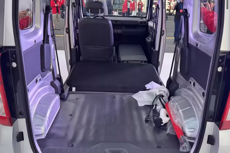 Nó cung cấp năng lượng cho một động cơ điện TZ155XZ230 duy nhất ở trục sau với công suất 30 kW (40 mã lực). Tốc độ tối đa của Zhiguang là 100 km/h.