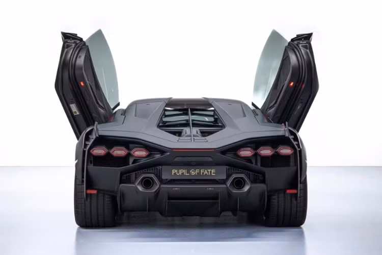 Lamborghini Sian ra đời dựa trên cơ sở gầm bệ của đàn anh Aventador và sức mạnh lấy từ Aventador SVJ với khối động cơ xăng V12, hút khí tự nhiên, dung tích 6,5 lít được bổ sung van nạp mới, làm bằng titan, và tạo ra công suất tối đa 774 mã lực.