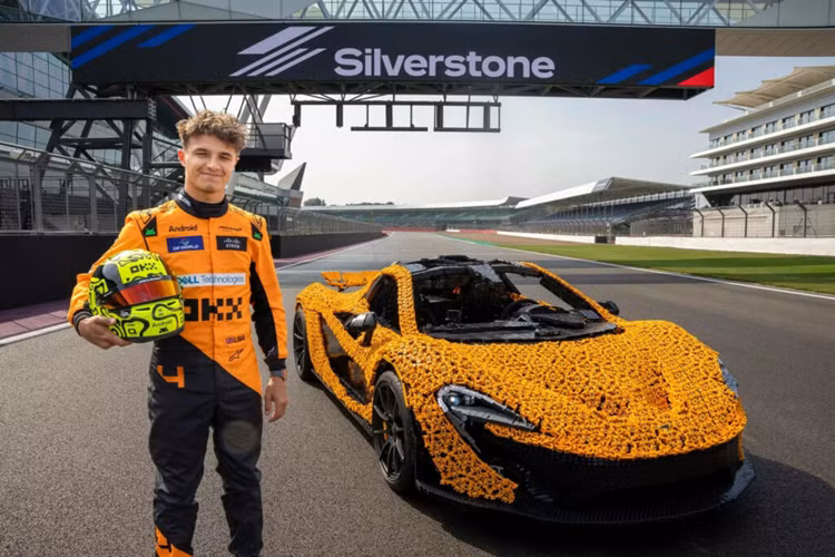 Gần như toàn bộ các thành phần của xe mô hình McLaren P1 lego bao gồm cả khung gầm và hệ thống treo, đều được tạo nên từ tổng cộng 342.817 mảnh ghép Lego Technic (những viên ghép có đặc tính kỹ thuật tinh xảo bậc nhất của Lego). Chỉ có bánh xe, bộ lốp, cơ cấu phanh, dây đai an toàn và vô-lăng là những thứ không được làm từ Lego.