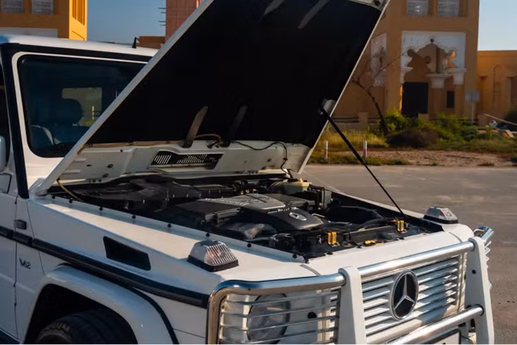 Mặc dù ban đầu, con số “63” biểu thị cho động cơ V8 6.2 lít mạnh mẽ dưới mui xe nhưng chiếc AMG G63 được trang bị động cơ V12 này sử dụng động cơ 12 xi-lanh 6.3 lít, tạo ra công suất khoảng 440 mã lực và kết hợp với hộp số tự động năm cấp.