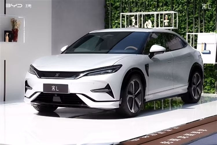 Năm ngoái, hãng đã bán được 2.706.075 xe tại quê nhà, trong khi đó Tesla là 603.664 xe. BYD đang đặt ra mục tiêu bán được nhiều xe nhất ở mức giá dễ tiếp cận nhất. Mặc dù vào năm 2023, BYD có mức lợi nhuận thấp nhưng thực tế là đã tăng so với những năm trước. Kể từ cuối năm 2019, dự trữ tiền mặt của BYD đã tăng gấp 8 lần.