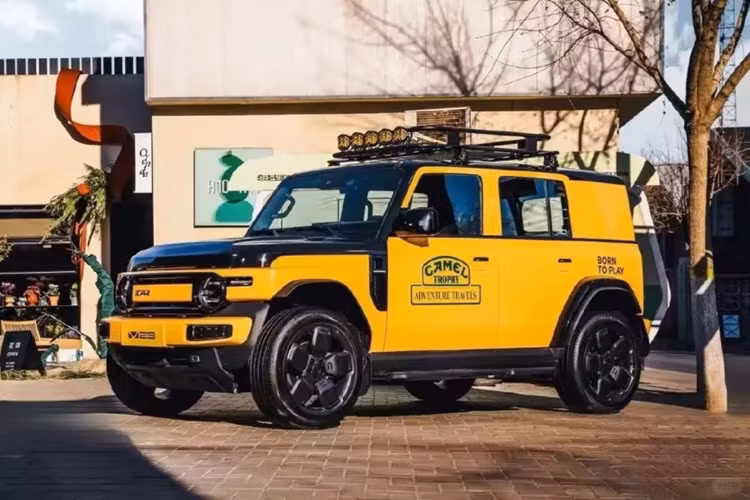 Phiên bản AWD tăng tốc từ 0 đến 100 km/h trong 7,5 giây. Cả hai phiên bản đều hỗ trợ sạc nhanh, sạc đầy pin từ 30% đến 80% chỉ trong 30 phút và có chức năng xả ngoài 3,3 kW để cấp nguồn cho các thiết bị bên ngoài.