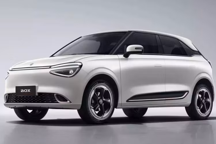 Tuy nhiên, Dongfeng đang đàm phán với chính phủ Ý để mở một nhà máy tại quốc gia này. Nếu làm như vậy, họ có thể sản xuất Nammi Box tại đó và tránh được mức thuế nhập khẩu đắt đỏ của EU.