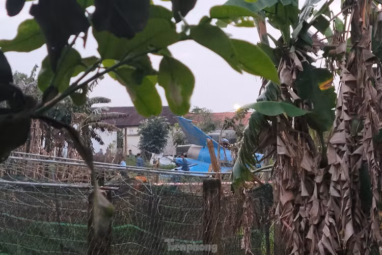 Nơi máy bay rơi không xa nhà dân. Tuy nhiên ai cũng mừng vì không có thiệt hại về người. Trong cái rủi có cái may, khi mọi người vẫn bình an. (Ảnh: Giang Thanh).