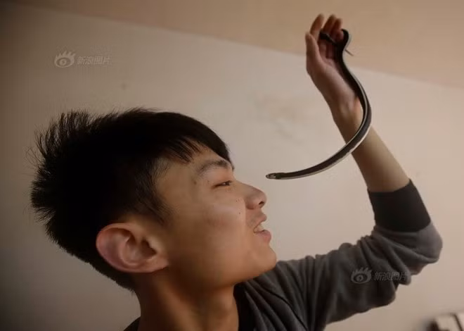 Cảnh Zong chơi đùa với rắn độc cũng khiến các cư dân mạng sợ hãi, chỉ trích vì nguy hiểm có thể xảy ra bất cứ lúc nào.