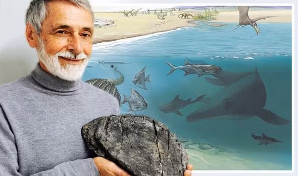 Theo các chuyên gia, Ichthyosaurs là loài thằn lằn biển khổng lồ có hình dáng thuôn dài và hình dáng khá giống rắn.