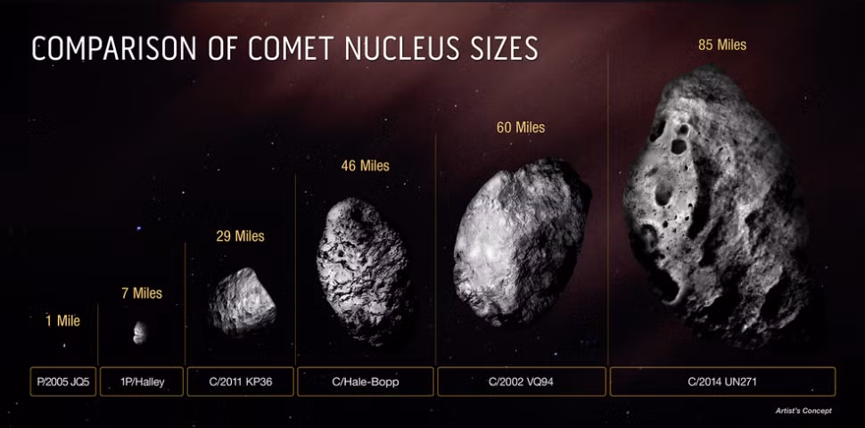 Theo NASA, đây là sao chổi lớn nhất từng được con người quan sát thấy. Bernardinelli-Bernstein dài khoảng 129 km ở phần tâm rắn. Kích thước của nó lớn hơn tiểu bang Rhode Island của Mỹ. Thêm nữa, siêu sao chổi này lớn hơn khoảng 50 lần so với lõi sao chổi trung bình.