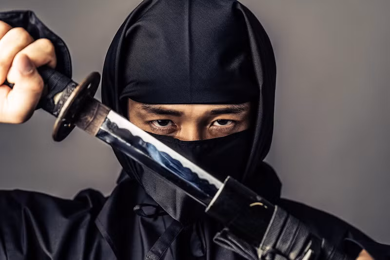Dưới thời phong kiến, ninja Nhật Bản là một nhóm chiến binh thường được các samurai và lãnh chúa cai trị tuyển dụng để làm gián điệp. Các nhà nghiên cứu hiện chưa thể xác định thời điểm chính xác ninja xuất hiện.