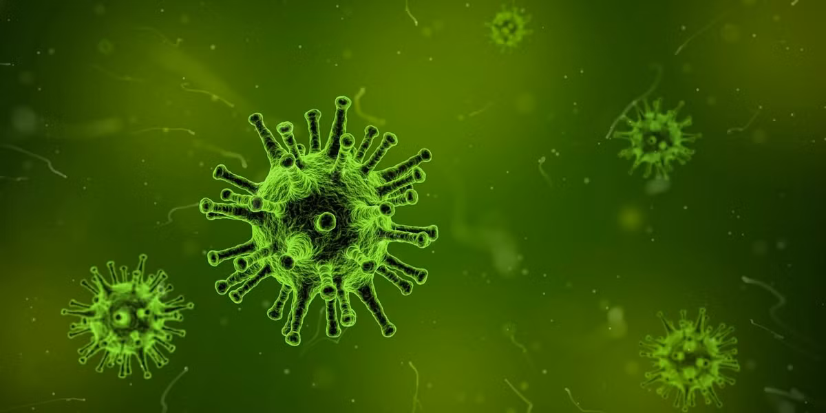 Các nhà khoa học đã lập danh mục hàng trăm nghìn loại viris DNA trong hệ sinh thái tự nhiên nhưng virus RNA mới chỉ được kiểm tra, phân loại một cách tương đối.