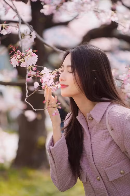 Nhiều người khen ngợi Đặng Thu Thảo "đẹp hơn hoa".