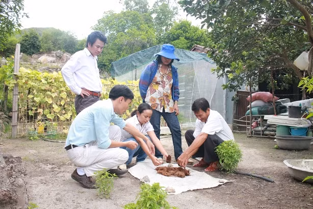 Trong rau sach khong can dat... 4 nguoi an chi 300.000 dong/thang