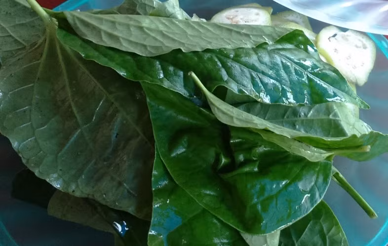 Ăn kèm với Cộc Cộc nướng là đĩa rau tươi gồm lá lót, chuối chát non. Sự hòa quyện giữa con cộc cộc với chén muối chanh ớt và đĩa rau sẽ làm cho món ăn thêm đậm đà hơn.
