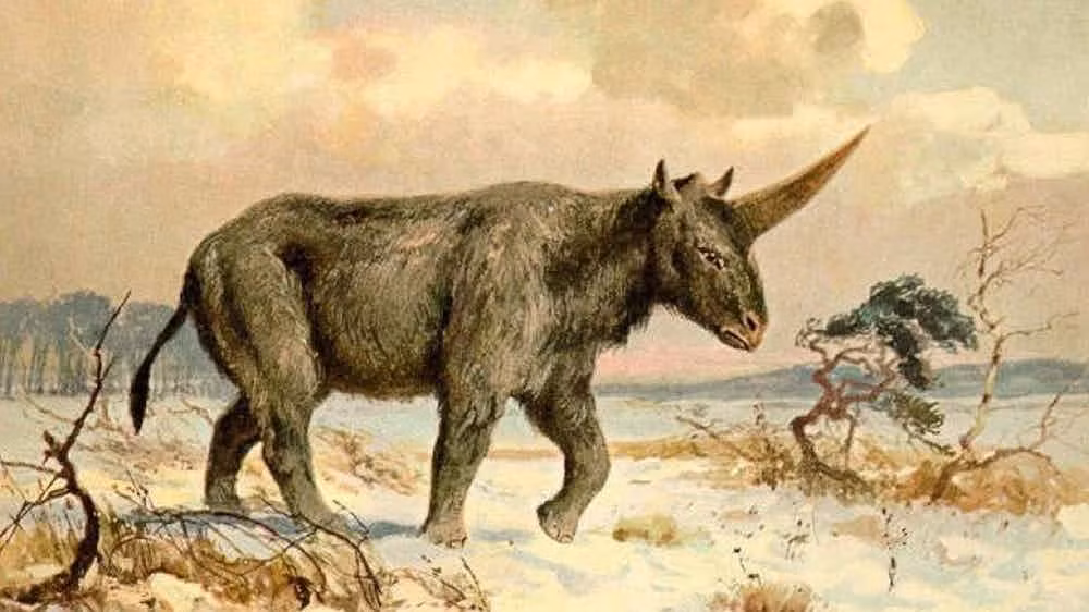 Kỳ lân là một sinh vật thần thoại. Tuy nhiên, loài vật này có thể đã sống ở Siberia. Các nhà khoa học cho rằng chúng tồn tại cách đây 350 nghìn năm trước.