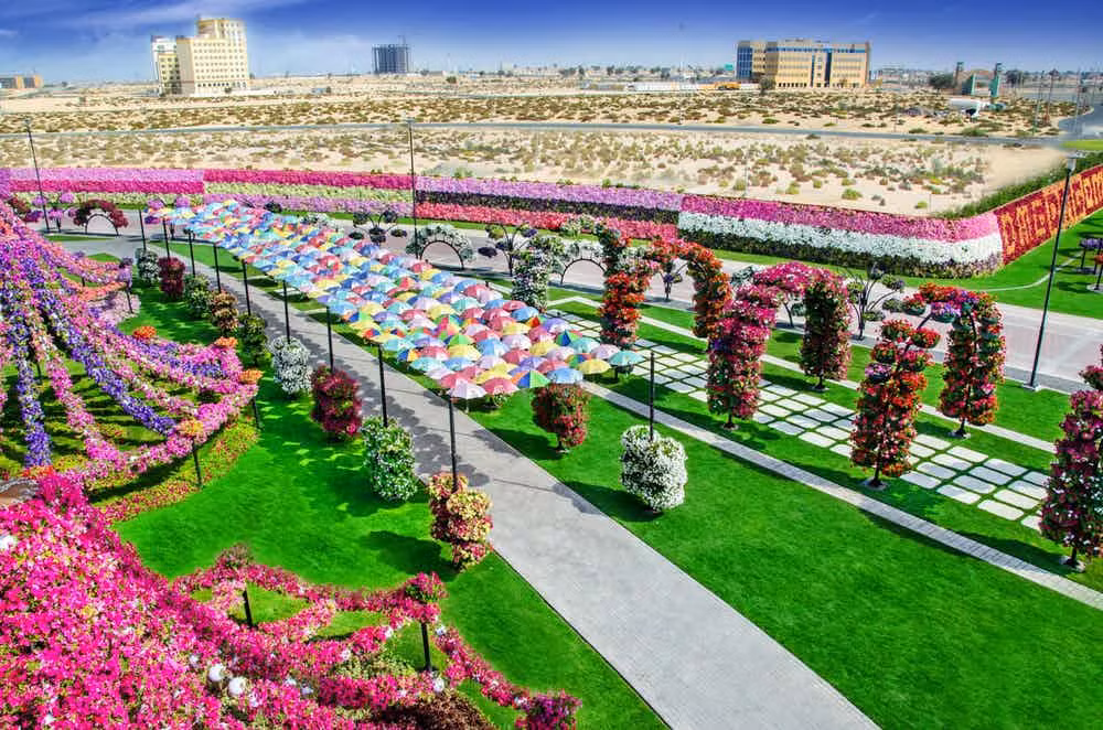 Dubai Miracle Garden là một trong những địa điểm nổi tiếng nhất ở thành phố Dubai, thu hút trung bình 55 nghìn du khách ghé thăm mỗi tuần. Khu vườn đã được công nhận là vườn hoa lớn nhất thế giới.