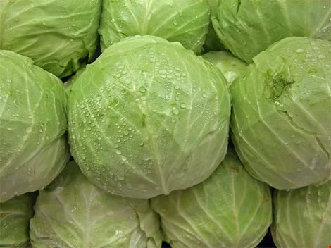 Bắp cải là món rau tạo cảm giác no, giàu protein, ít calo. Hình minh họa.