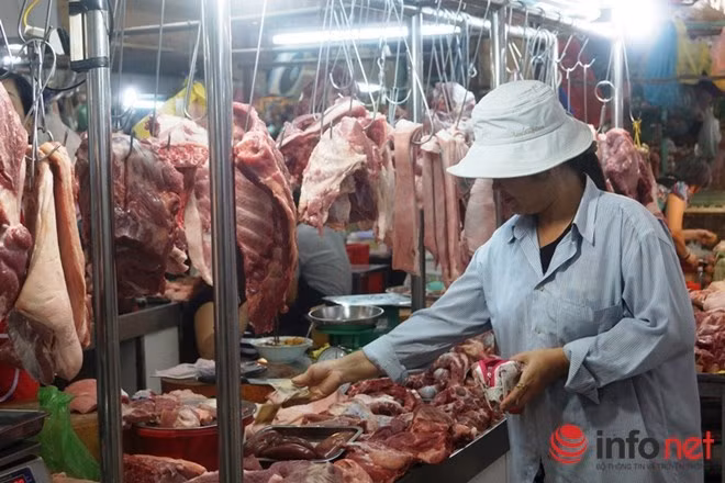 Chưa có con heo chứa chất cấm nào bị tiêu hủy