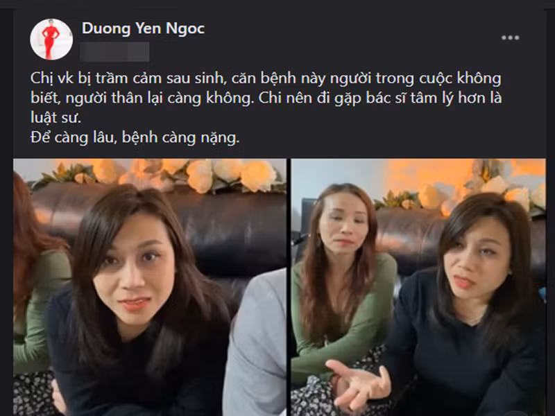 Năm 2020, Dương Hoàng Yến gây xôn xao khi quả quyết vợ cũ Hoàng Anh trầm cảm sau sinh, còn Nam Em trầm cảm cấp độ 2, không chữa kịp thời sẽ tâm thần.