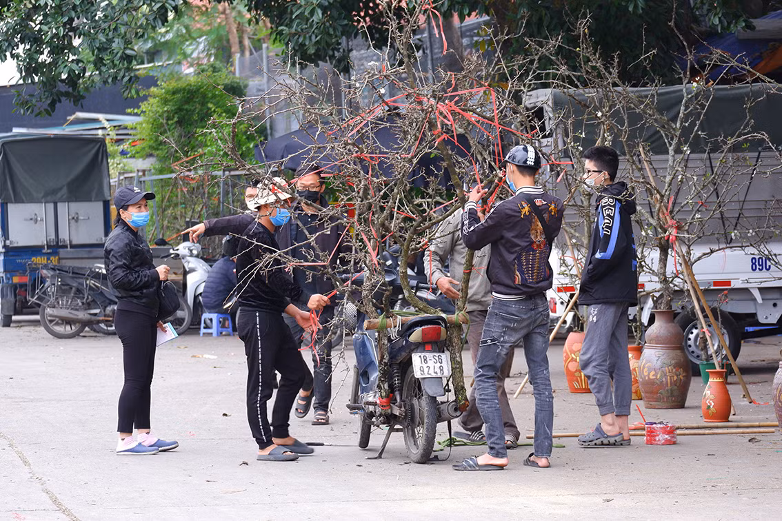 Ngoài đào Nhật Tân, chợ hoa Quảng Bá hiện cũng đang bán nhiều đào đá, đào núi.