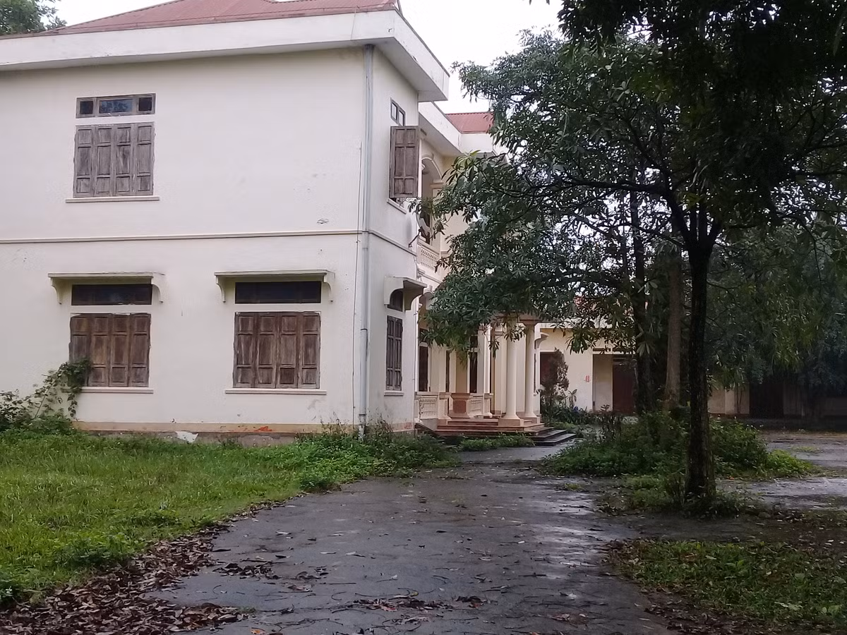 Sau vài tháng không được sử dụng, cỏ bắt đầu mọc um tùm khắp sân. 